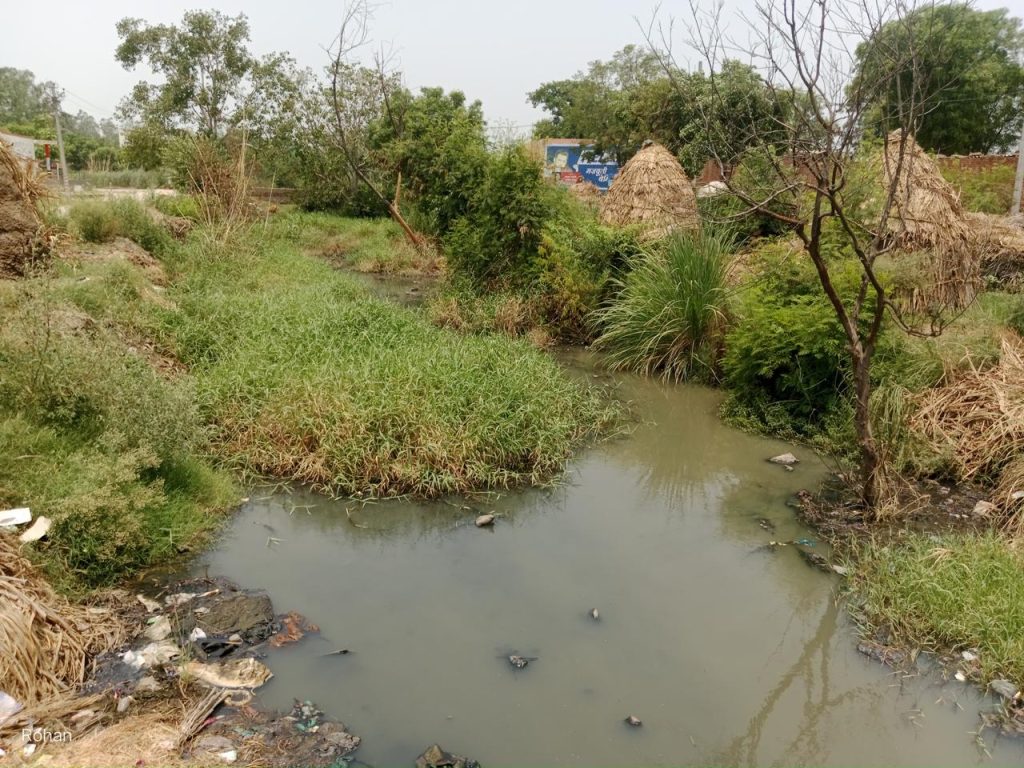 बागपत के बूढ़पुर गांव की कहानी: ज़िंदगी में ज़हर, नाले में मौत, और टंकी में उम्मीद की लाश