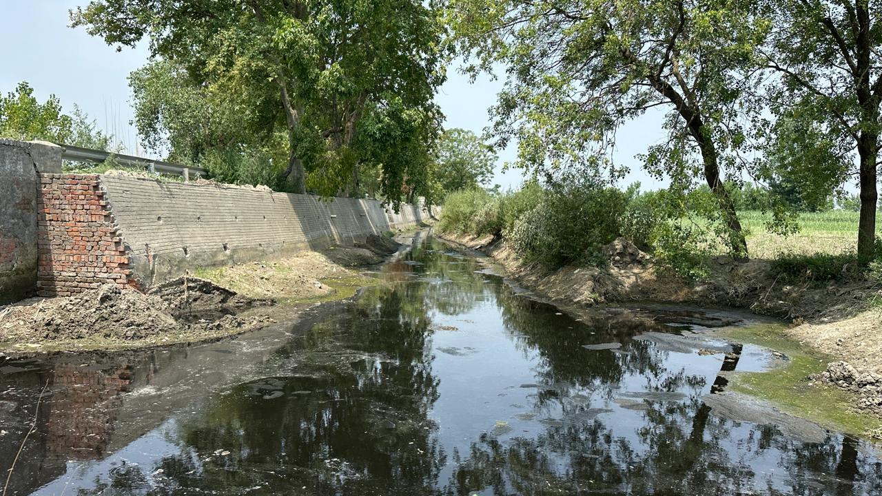 ज़हर के बीच ज़िंदगी: खतौली की चीनी मिल और शेखपुरा गांव की कहानी