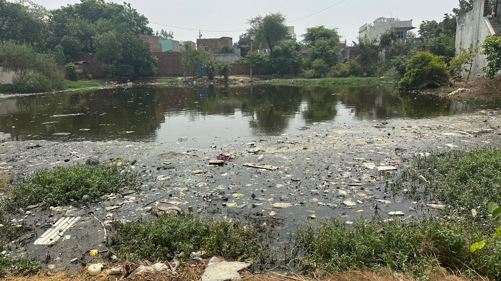 ऑर्गेनिक मिल का ज़हरीला सच: बूढ़पुर गांव में 12 मौतों के बाद भी प्रदूषण विभाग बेखबर!