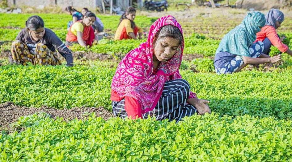 ग्रामीण भारतीय महिलाएं: हरे भरे भविष्य की बुनियाद